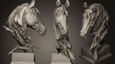 Masks and muzzles of animals (MSKJ_0112) 3D model for CNC machine